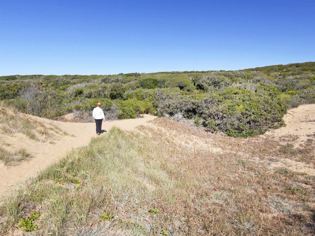 Soak in the salty sea breeze as you crest the beach dunes.