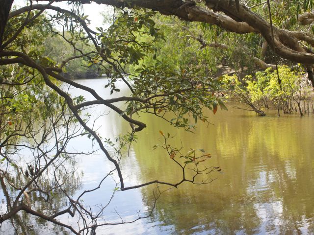 Melaleuca Waterhole is a top fishing spot.