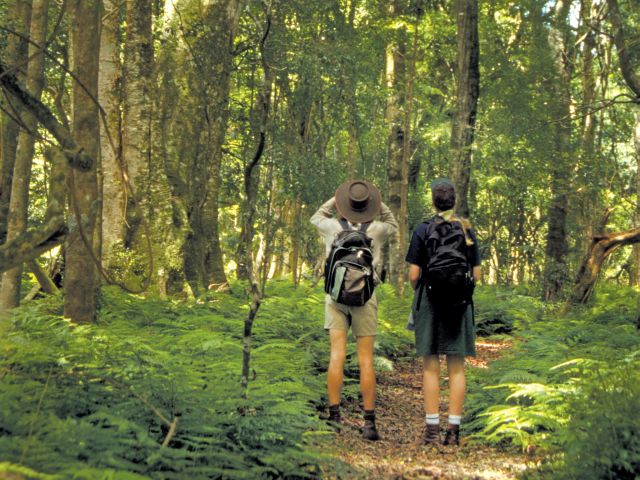Bring your binoculars for excellent wildlife watching.