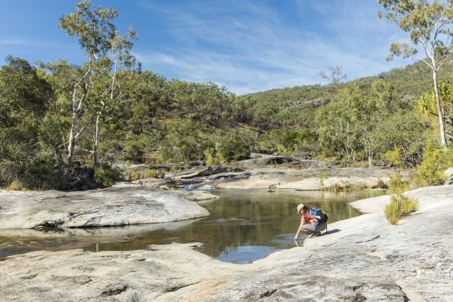 Photo of Lower Davies Creek camping area