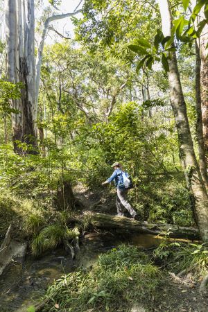 Photo of Ridge trail, Dinden National Park