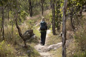 Photo of a man hiking the Cape Pallarenda Trails. Remember to carry drinking water, a first aid kit and communication equipment.