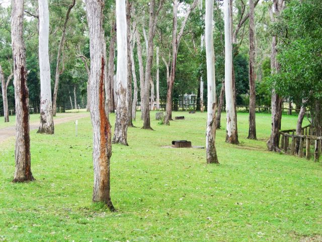 Amamoor Creek camping area is a large open area nestled beside Amamoor Creek.