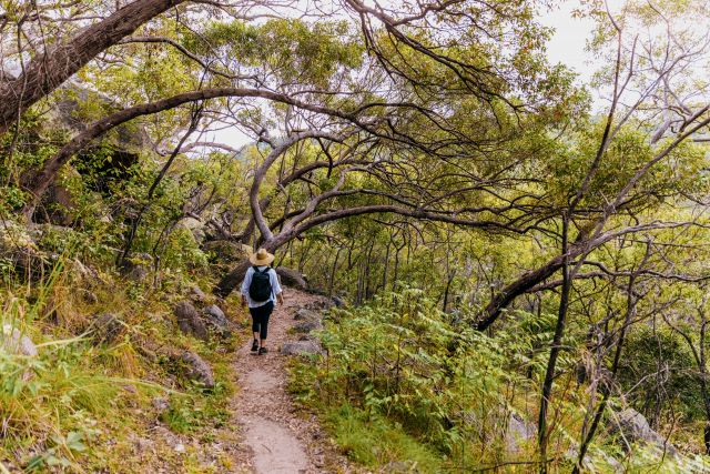 The walking track traverses the flat ridgelines in the highlands above Arcadia. 