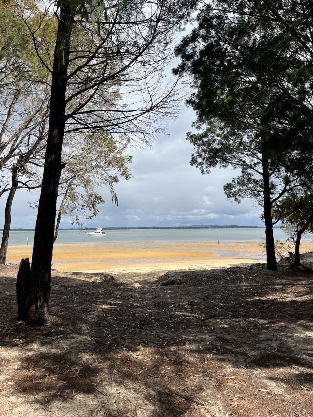 Photo from the camping area looking out to the ocean. You’ll need a boat to get to this camping area.