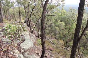 Sandstone cliffs at Plunkett.