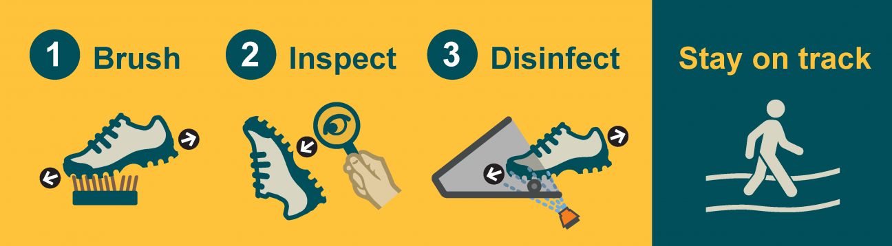 Diagram of steps to take for clean shoe control