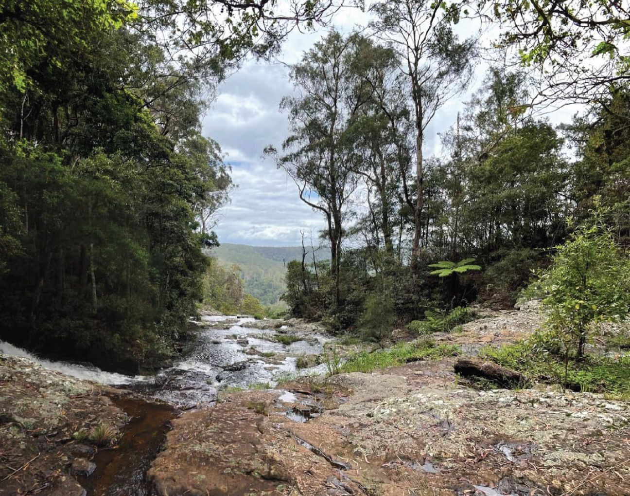 Photo of a view of Purling Brook creek at the top of the falls looking north to the cliff edge