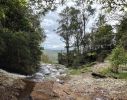 Photo of a view of Purling Brook creek at the top of the falls looking north to the cliff edge
