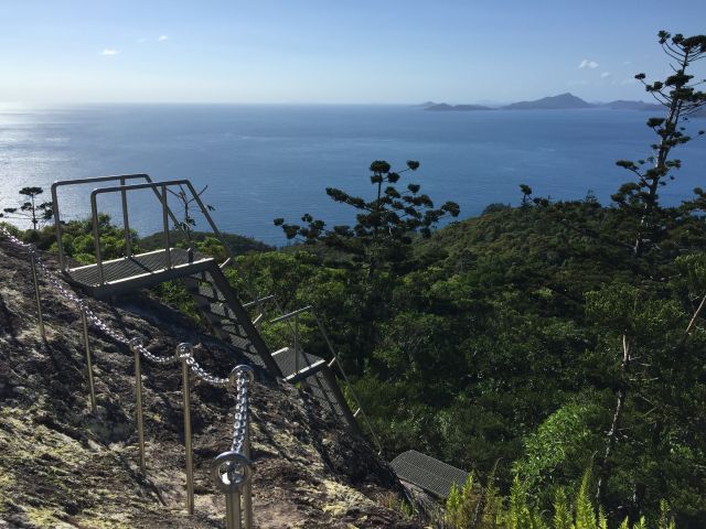 A metal ladder and barrier rail attached to a large rock with trees and the ocean in the background. 