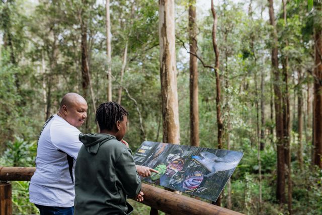 Photo of visitors reading signage overlooking Daisy Hill Conservation Park.