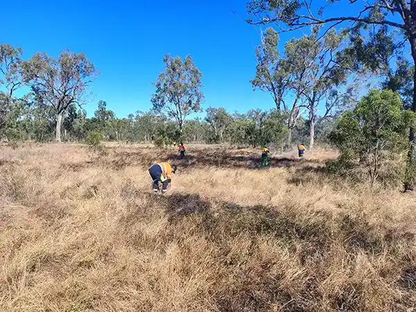 Traditional owners undertaking a cultural burn in Dipperu National Park (Scientific)