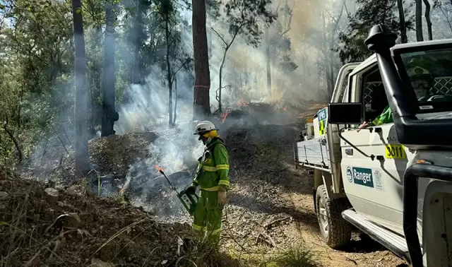 Fire worker at planned burn in Nerang National Park