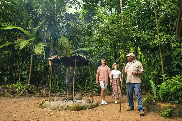 Daintree National Park (CYPAL)