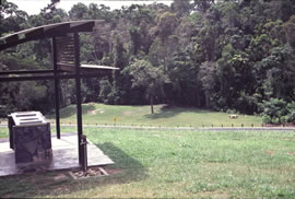 Enjoy a picnic in the day-use area after your rainforest walk. 