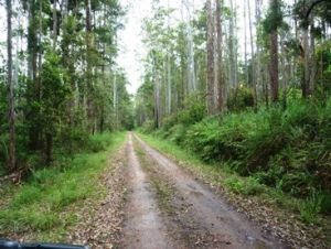 Wall Creek Road