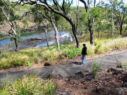 Image of the track to the Big Millstream Falls lookout which is steep but sealed