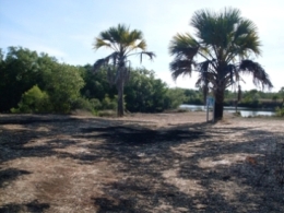 Brown Creek camping area