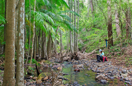 Enjoy the cool shade of Buaraba Creek. 