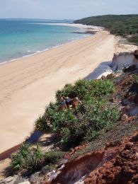 Image of the coastline near Ussher Point camping area.