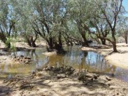 The Alice River frontage. 