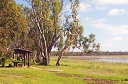Lake Broadwater is a great spot for a picnic. 