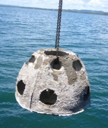 Reef balls were deployed at West Peel Artificial Reef. 