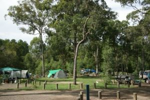 Coochin Creek camping area.