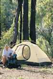 Image of the Stony Creek camp site.
