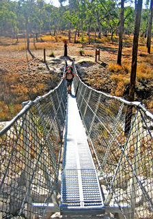 Image of a suspension bridge allows the Maranoa River to be safely crossed.