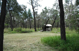 Image of Nogoa River camping area.