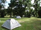 Goldsborough Valley camping area. 