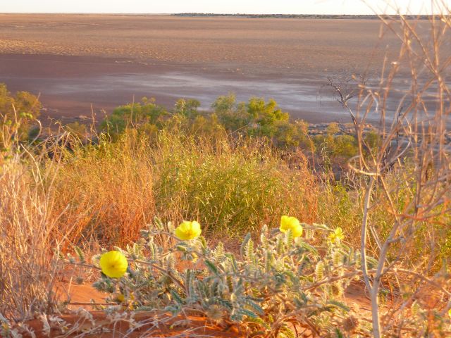 Climb a sand dune and appreciate the vast, grassy floodplains.