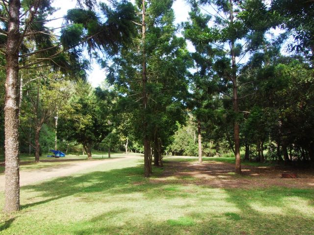 Pitch your tent in the open grassy space of Cedar Grove camping area.