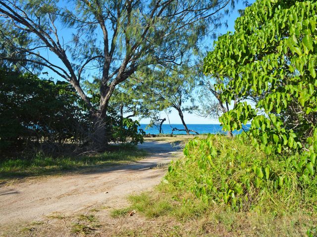 Windmill Bay camping area is an open, grassy area fronting a 200m sandy beach.