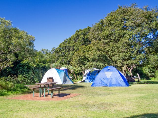 With three camping areas, including Burtons Well, you’ll be sure to find one to suit you in Bunya Mountains National Park.