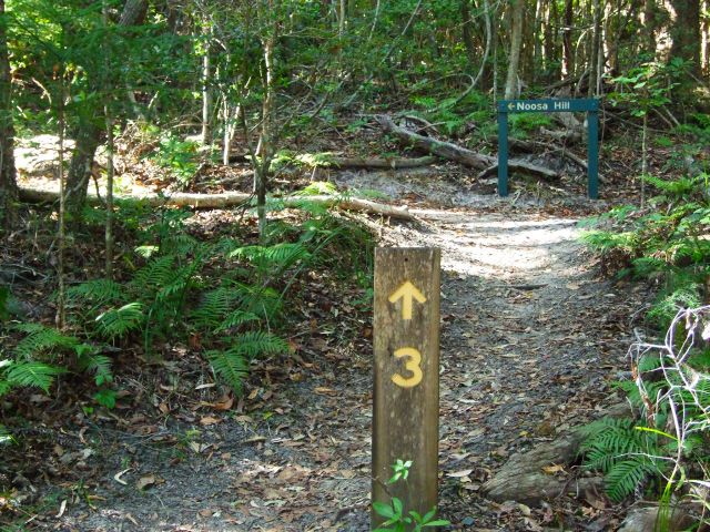 The Noosa Hill Walk is well signed.
