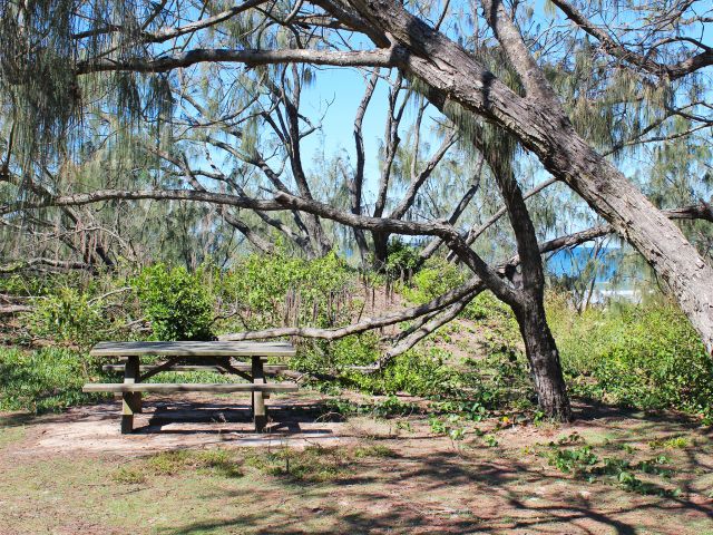 Stop for a picnic at Fort Bribie day-use area.