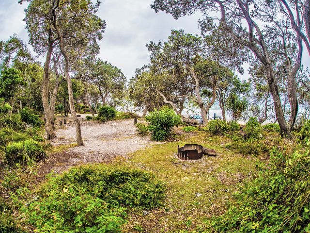 Shady trees and a beach. What more could you want?