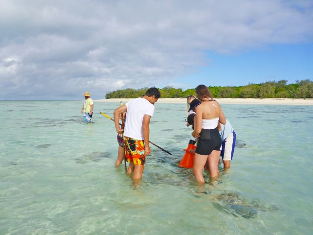 Reef walk along the channels at low tide.