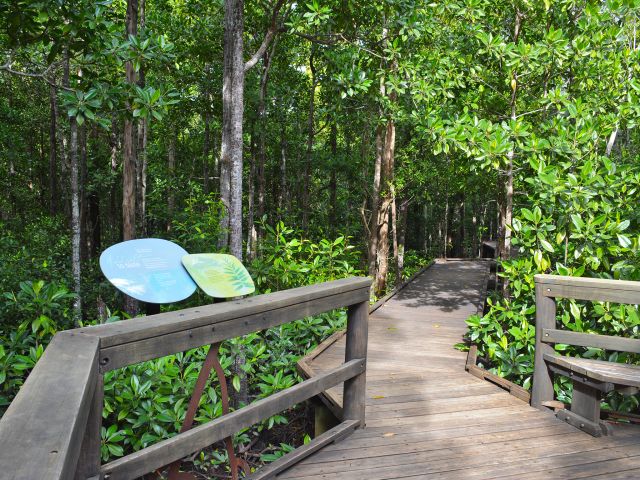 Learn about the different plant communities from signs along The Diversity boardwalk.
