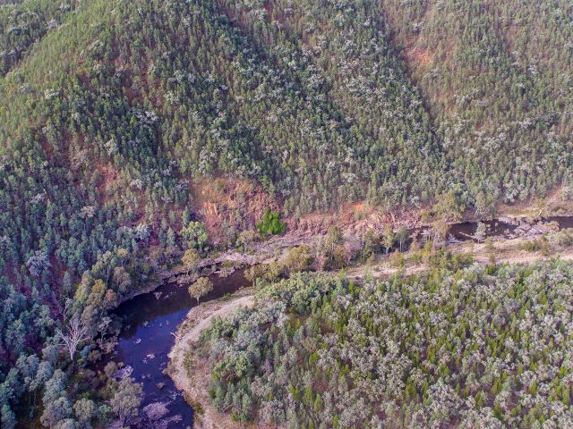 The Burrows Waterhole to Rats Castle track follows the Severn River from the camping area to Sundown Creek.