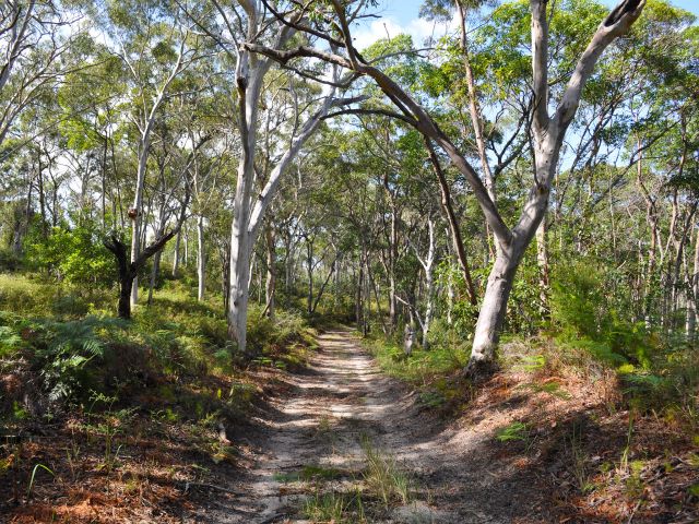 The northern entrance to the Rous Battery track.