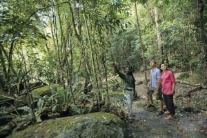 Guide shows rainforest features to two visitors.
