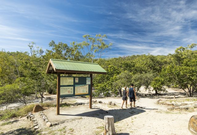 Photo of Lower Davies Creek camping area
