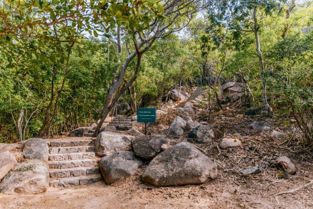 This walking track links the Forts Walk and Florence Bay.