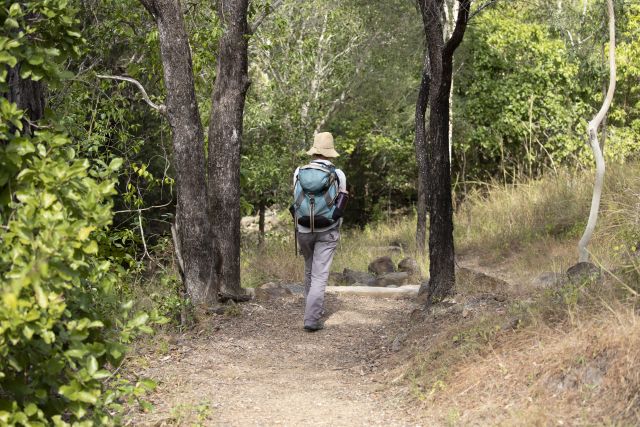 Wear sturdy walking shoes and protect yourself from the sun when walking on the national park trails.