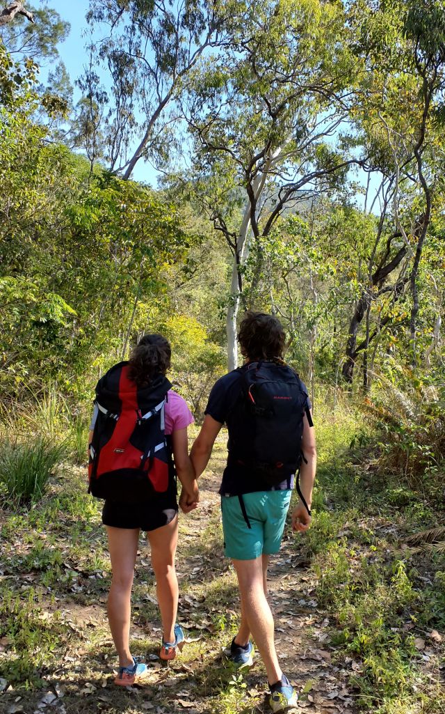 Wander through open woodland on the Cockatoo Creek trail.