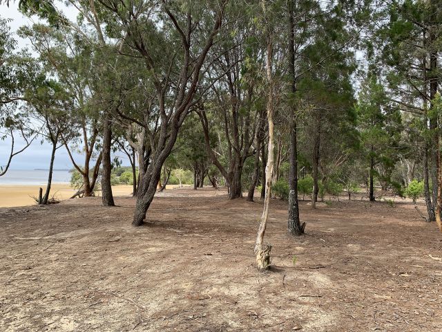 Photo of the camping area where flat sites and shady trees await looking out to the ocean. You’ll need a boat to get to this camping area.
