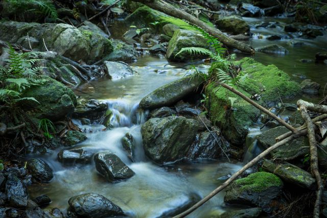 Yalbogie track crosses several picturesque creeks